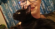 Tiffany joined the competition — help win amazing prizes! person, cat, black_cat, glasses, smile, indoor, curtains, face, pet, closeup, portrait, furniture, home, cozy, animal, companion, looking_away, happy, human, eyewear