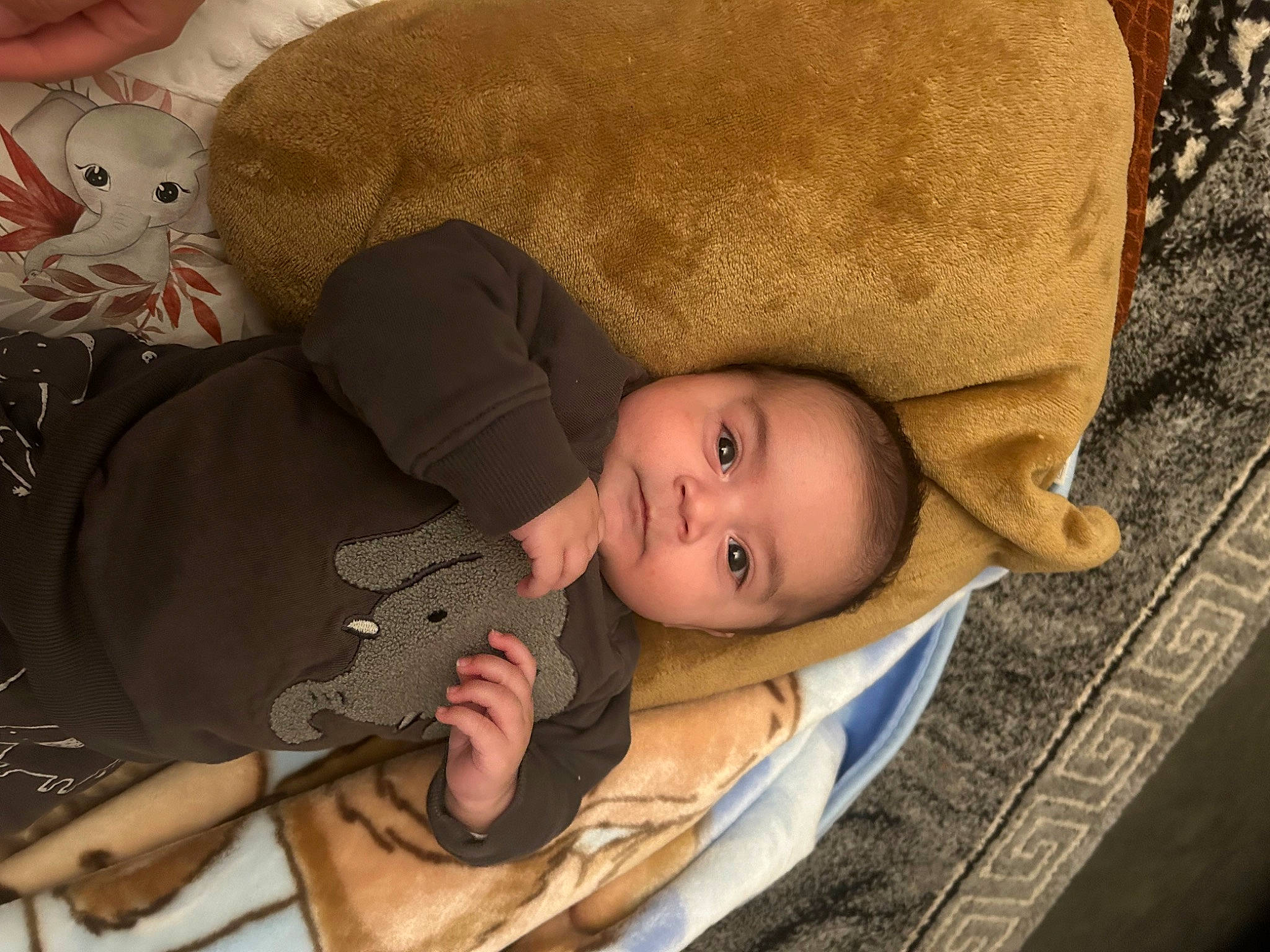 Miran a rejoint le concours — aidez-le/la à gagner de superbes lots ! baby, baby_products, baby_toddler_clothing, bedtime, cheek, child, comfort, eye, flooring, grass, hand, iris, linens, nap, person, sitting, sleep, toddler, tree, wood