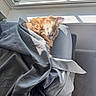 Charlie is registered to the contest to win money with this photo: blanket, cat, comfort, cozy, cushion, daylight, feline, fur, gray_blanket, home, indoor, nap, orange_cat, peaceful, pet, relaxation, sleeping, soft_texture, sunlight, window