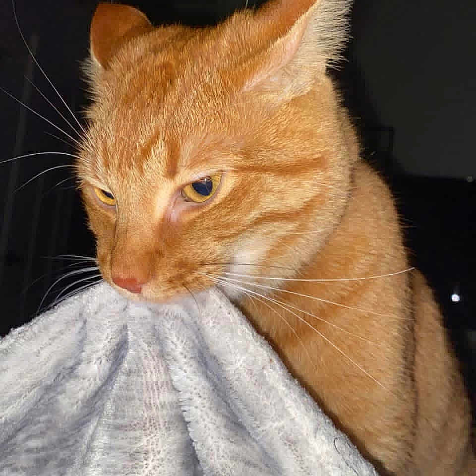 Oliver