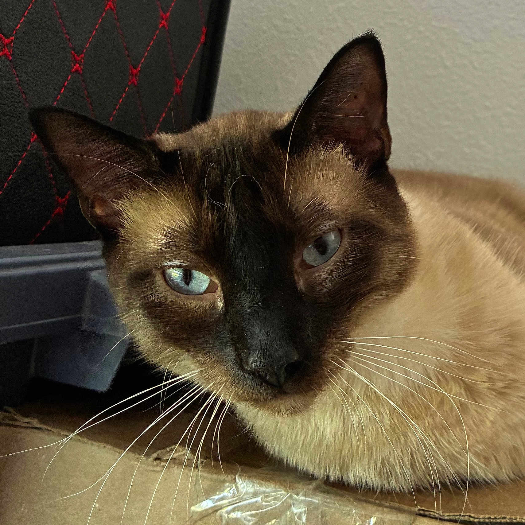Osiris Eatton