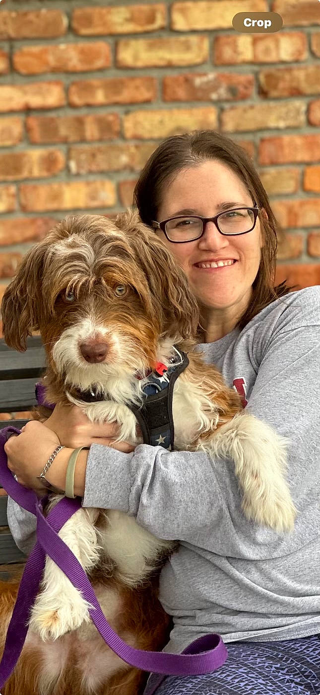 Beau Lewis is registered to the contest to win money with this photo: brick, brickwork, canidae, carnivore, companion_dog, dog, dog_breed, dog_supply, eyewear, fawn, fur, glasses, happy, liver, mammal, small_terrier, smile, sporting_group, terrier, toy_dog