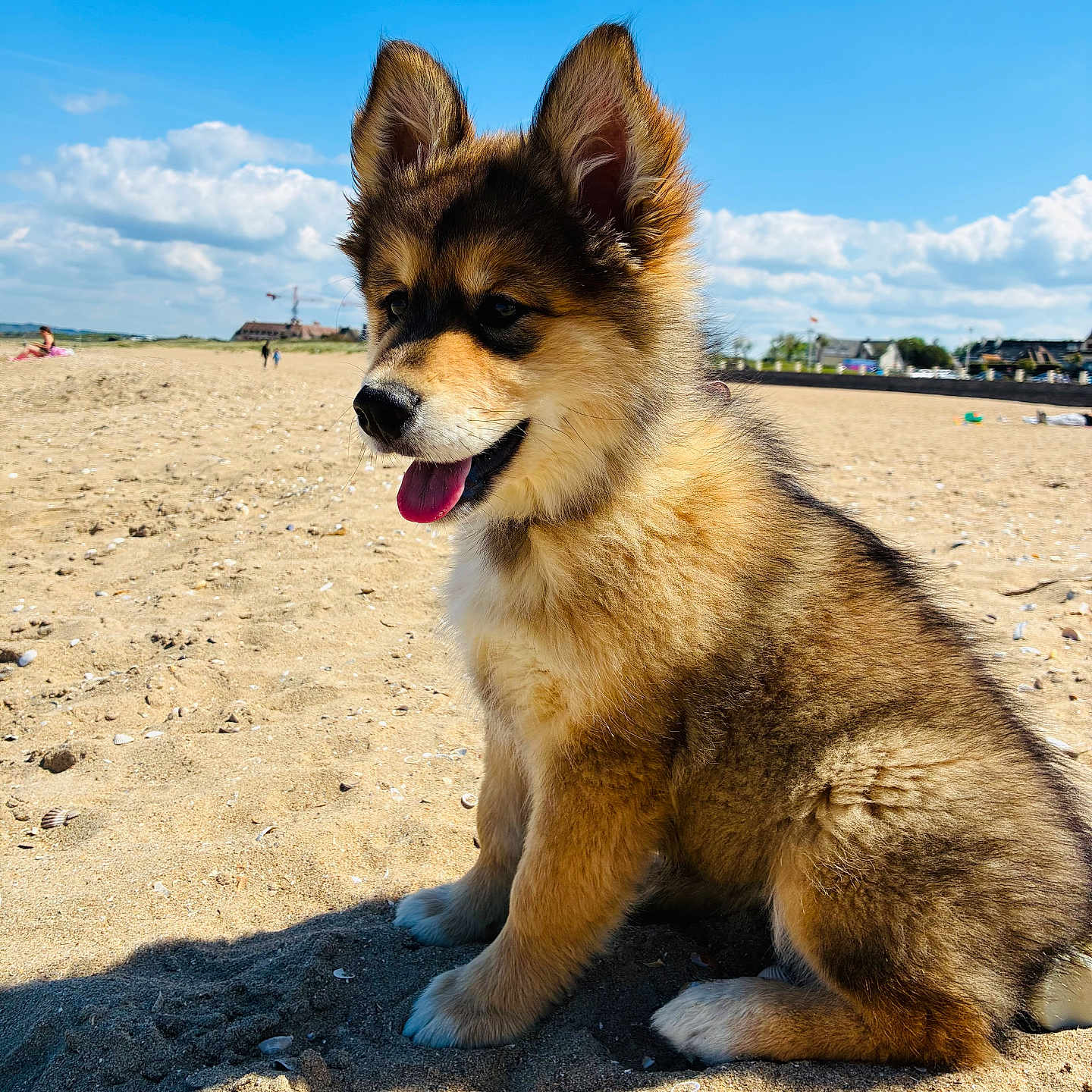 Bella