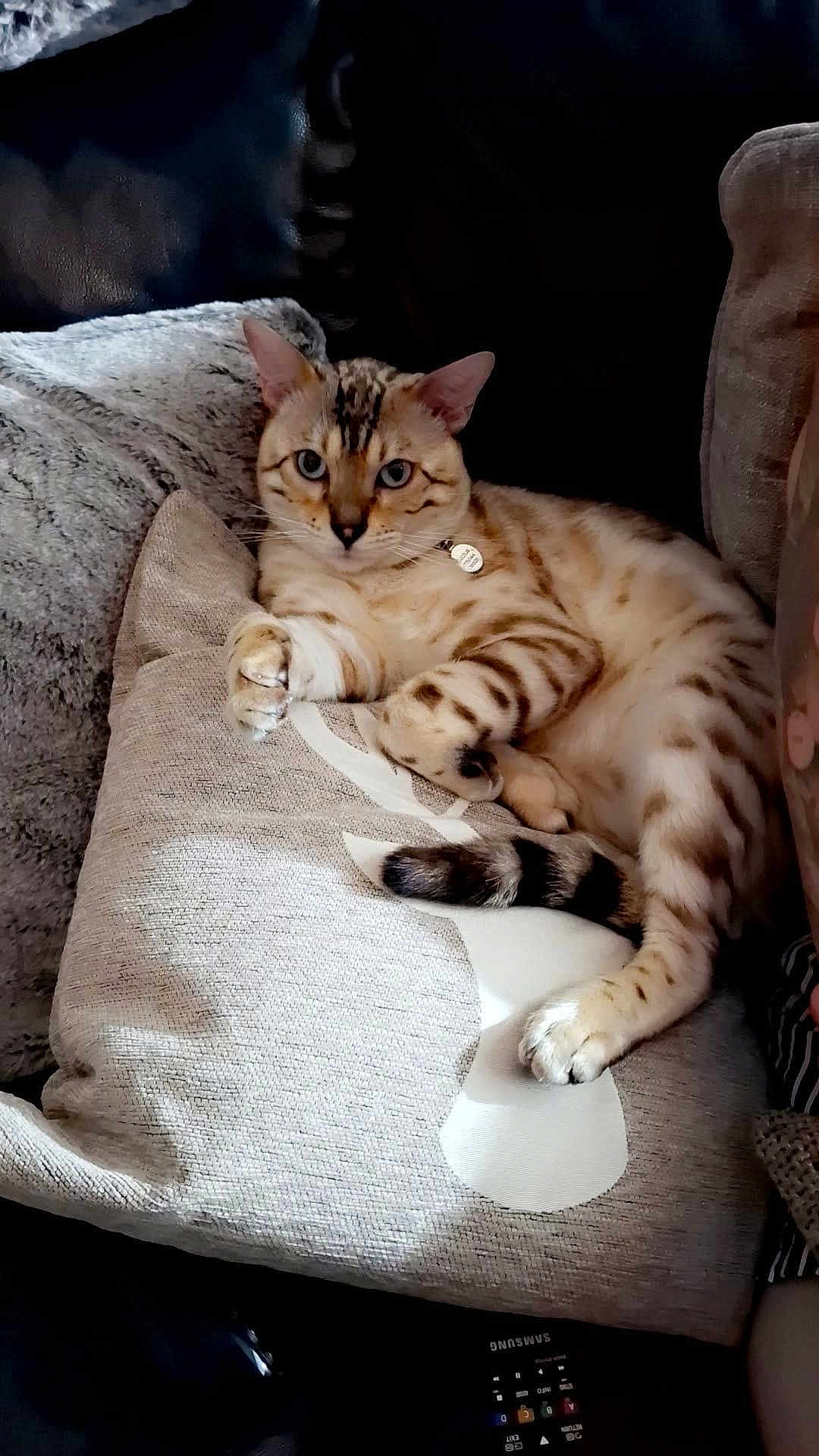 Lucius