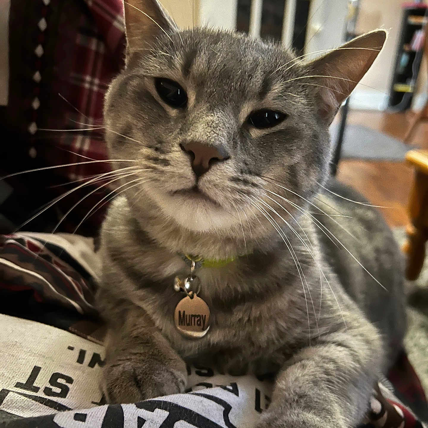 Murray