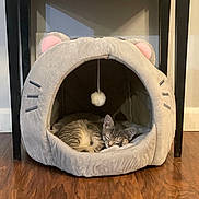 Heathcliff is registered to the contest to win money with this photo: kitten, cat, sleeping, cat_cave, plush, indoor, wooden_floor, pet_bed, cozy, cute, animal_shape, ears, pom_pom, resting, feline, household, furniture, black_table, flooring, domestic_animal