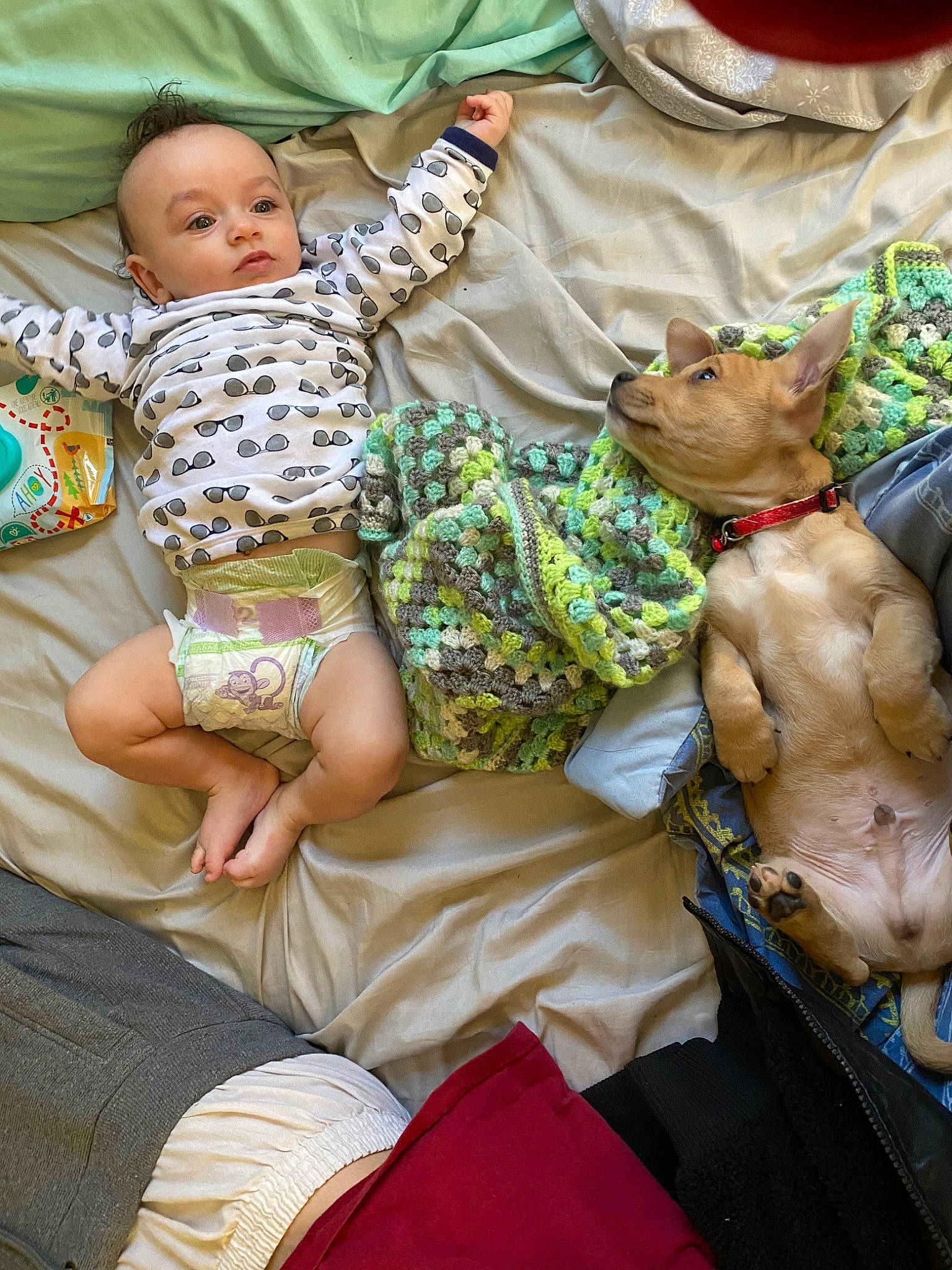 Braylin joined the competition — help win amazing prizes! adaptation, baby, child, person, toddler