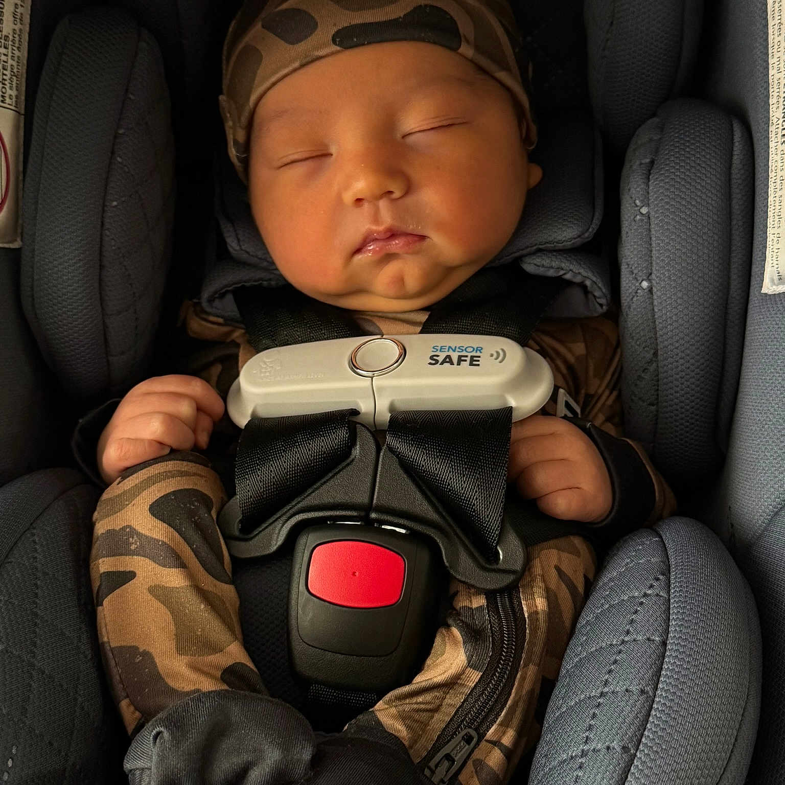 Knox is registered to the contest to win money with this photo: baby, sleeping, car_seat, camouflage, infant, child, seatbelt, safety, cute, hands, headwear, clothing, resting, portrait, indoor, newborn, peaceful, face, person, cozy