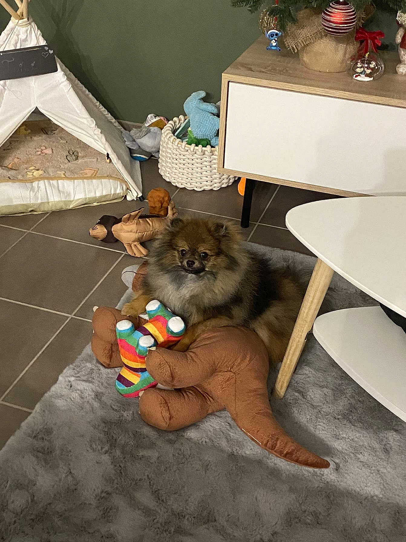 Twini participe au concours pour gagner de l'argent avec cette photo : art, carnivore, chair, companion_dog, fawn, felidae, floor, flooring, fur, grey, hardwood, plant, room, small_to_medium_sized_cats, stuffed_toy, table, tail, toy, whiskers, wood