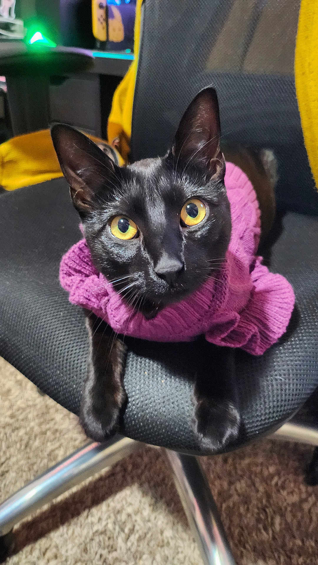 Jinx