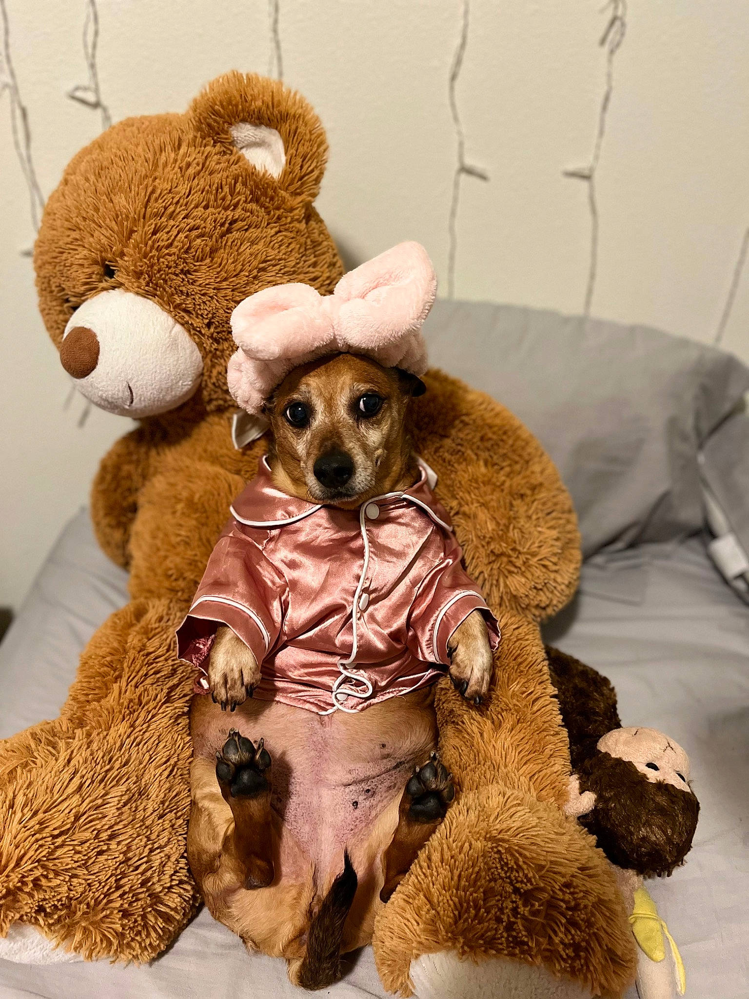 Brandy is registered to the contest to win money with this photo: animal_figure, art, baby_toys, bear, beige, brown, canidae, companion_dog, doll, fawn, figurine, fur, plush, primate, snout, stuffed_toy, teddy_bear, terrestrial_animal, toy, wood