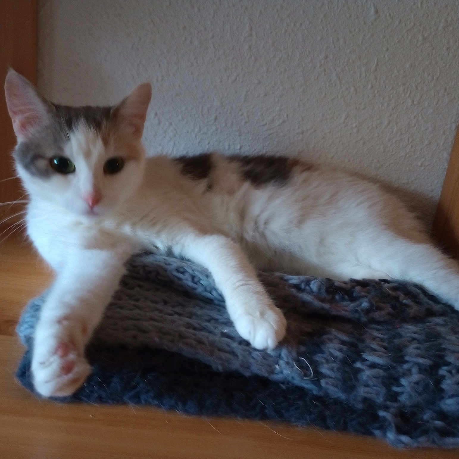 Chtoutinette