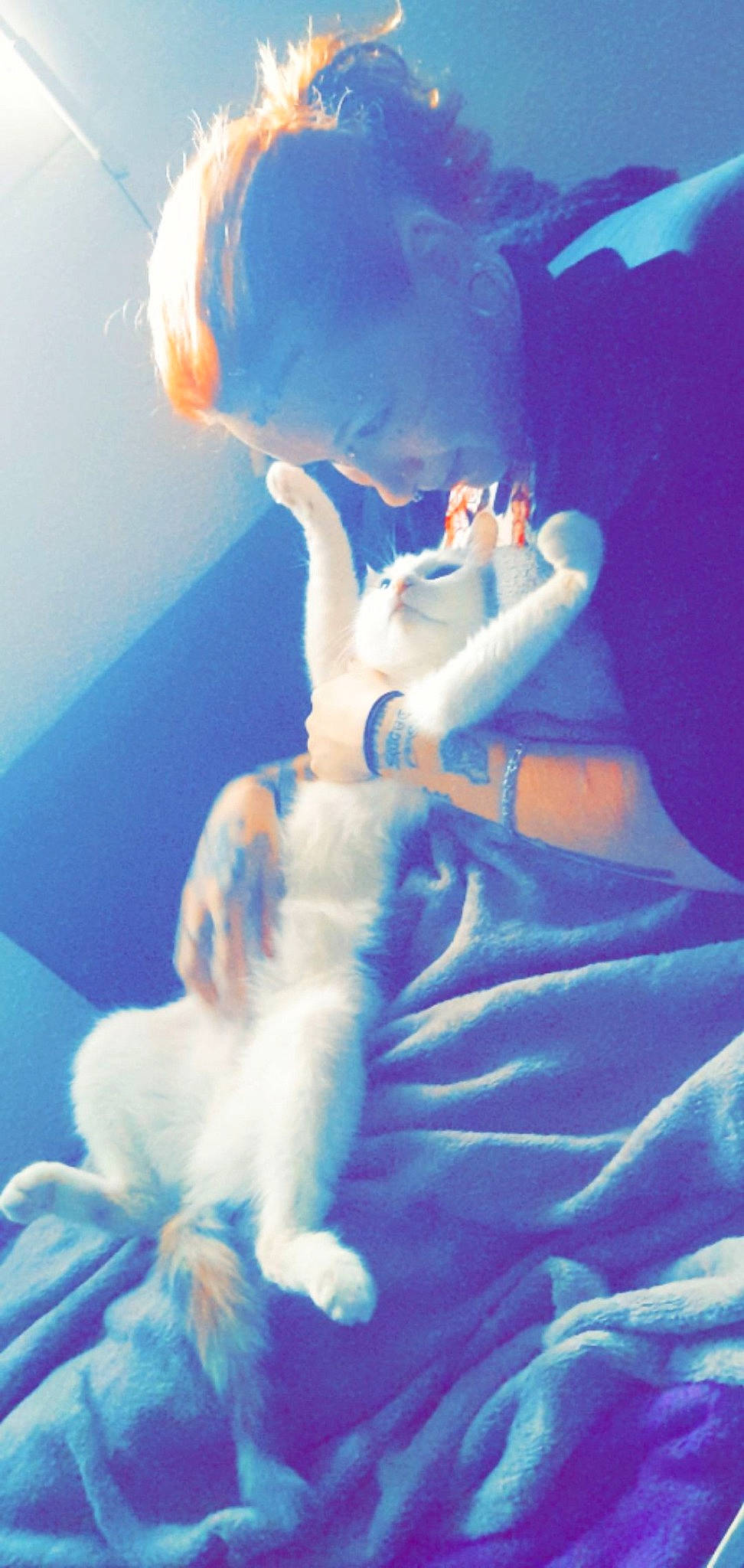 Chtoutinette a rejoint le concours — aidez-le/la à gagner de superbes lots ! artist, azure, cg_artwork, cloud, dress, electric_blue, entertainment, event, felidae, fun, fur, gesture, happy, paw, performance, sky, small_to_medium_sized_cats, tail, whiskers, wing