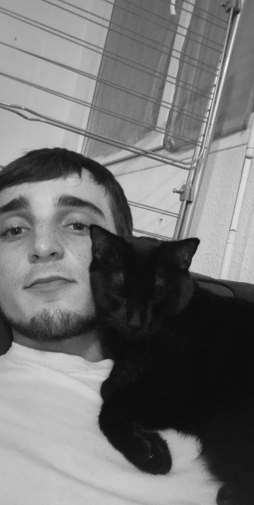 Choupie participe au concours pour gagner de l'argent avec cette photo : beard, black_and_white, carnivore, cat, comfort, ear, eye, facial_hair, felidae, fur, iris, jaw, monochrome, monochrome_photography, moustache, selfie, small_to_medium_sized_cats, snout, style, whiskers