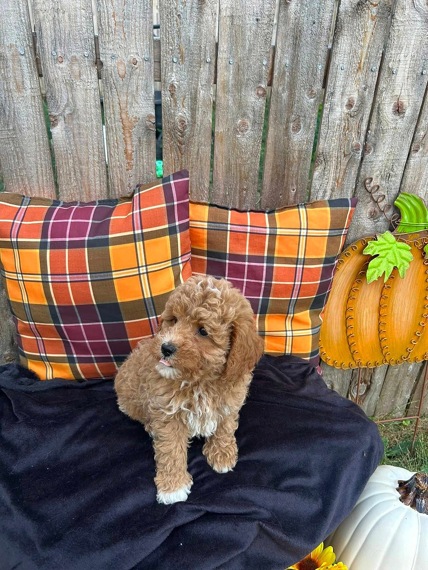 Tucker