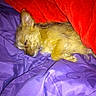 Lili participe au concours pour gagner de l'argent avec cette photo :