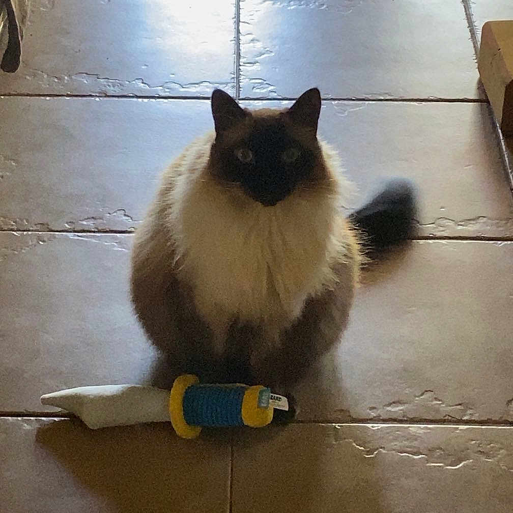 Monty