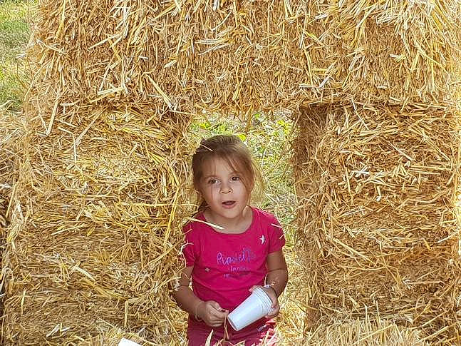 Lyna a rejoint le concours — aidez-le/la à gagner de superbes lots ! adaptation, agriculture, crop, fodder, grass, grass_family, hay, person, plant, straw