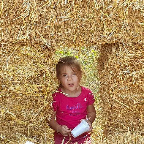 Lyna a rejoint le concours — aidez-le/la à gagner de superbes lots ! adaptation, agriculture, crop, fodder, grass, grass_family, hay, person, plant, straw