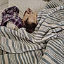 bed, blanket, canine, comfort, cozy, dog, domestic_animal, fur, indoor, nap, peaceful, pet, pillow, plaid_cloth, relaxation, rest, sleeping, snuggle, striped_blanket, tucked_in