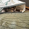 Pignatta a rejoint le concours — aidez-le/la à gagner de superbes lots ! cat, pet, animal, hiding, bag, curious, paw, eye, indoor, carpet, textured, green, cozy, playful, cute, feline, resting, hidden, soft, home