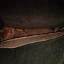 Chucky joined the competition — help win amazing prizes! cat, orange_cat, couch, cushion, dark, indoor, resting, sleeping, feline, pet, animal, furry, hidden, blurred, relaxing, long_body, cozy, shadow, furniture, napping