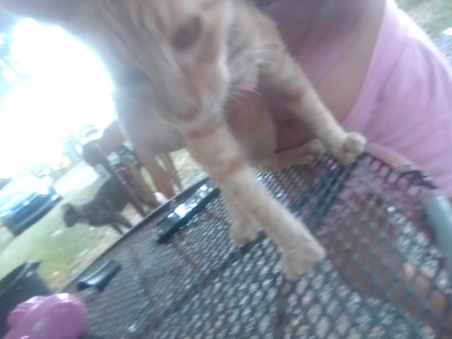 Chucky