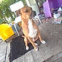 dog, brown_dog, white_markings, sitting, porch, wooden_floor, black_rug, clutter, household_items, outdoor, trees, chair, yellow_bin, purple_container, calm, pet, canine, daylight, relaxed, side_view