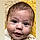 Aaron