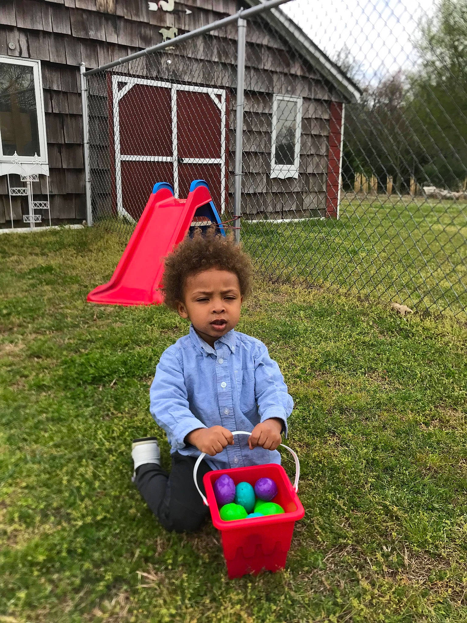 Cortez joined the competition — help win amazing prizes! backyard, bucket, child, grass, home, house, person, plant, play, toddler, tree, yard