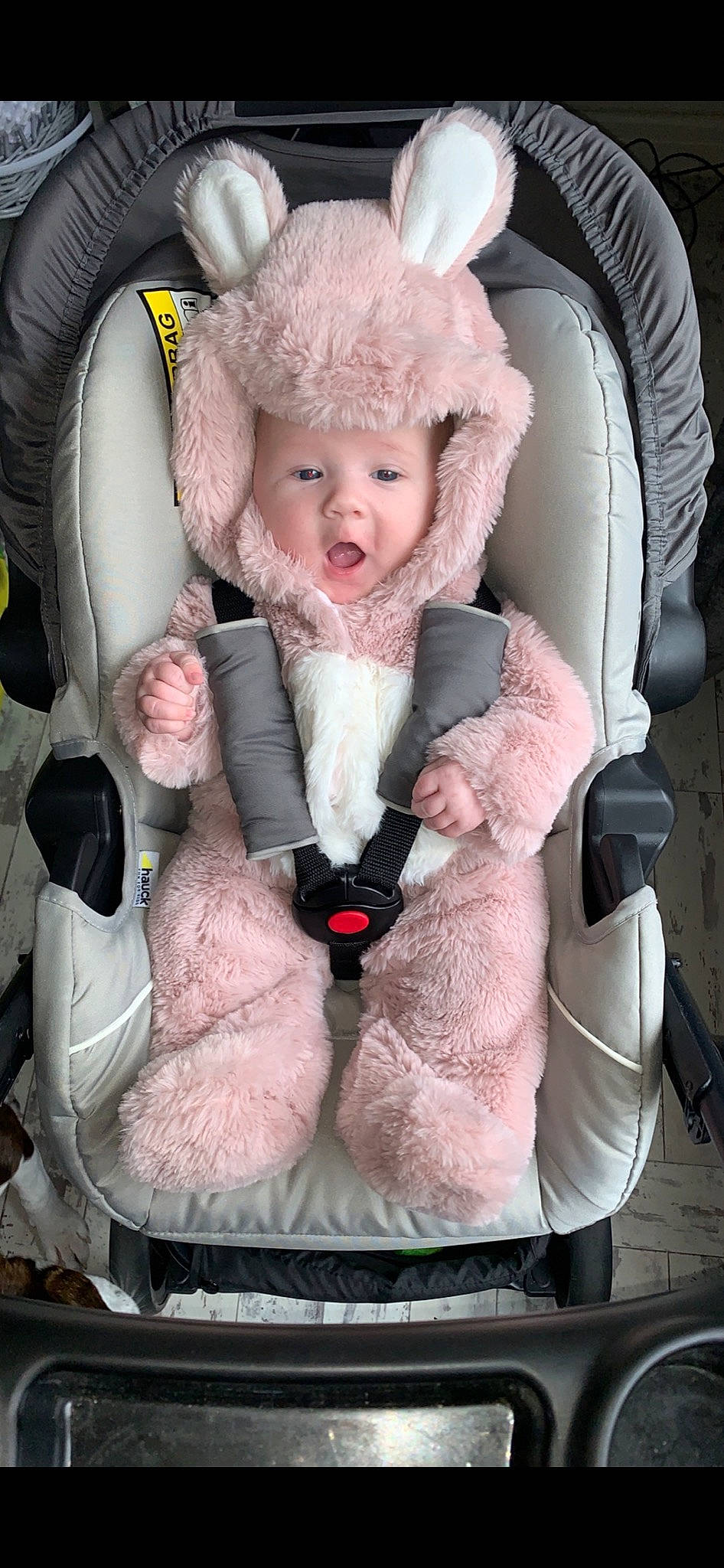 Olivia Rose is registered to the contest to win money with this photo: baby, baby_carriage, baby_products, baby_toddler_clothing, cap, car_seat, chair, cheek, child, comfort, eye, fashion_accessory, fur, happy, headwear, lap, person, pink, seat_belt, sitting