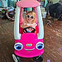 adult, bicycle, bucket, casual_clothing, child, clutter, floor, indoor, person, pink, plastic, playroom, seat, smiling, steering_wheel, sunglasses, toy, toy_car, wall_art, wooden_floor