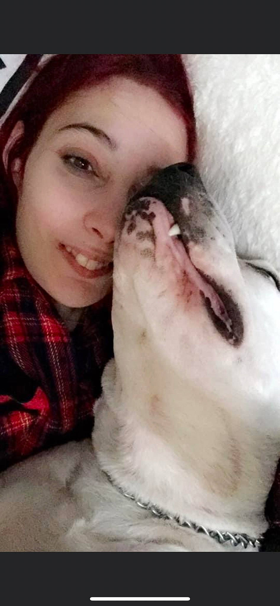 Butch is registered to the contest to win money with this photo: carnivore, companion_dog, dog_breed, ear, eyelash, felidae, happy, iris, jaw, mouth, nose, pattern, plaid, selfie, skin, small_to_medium_sized_cats, smile, snout, tartan, whiskers