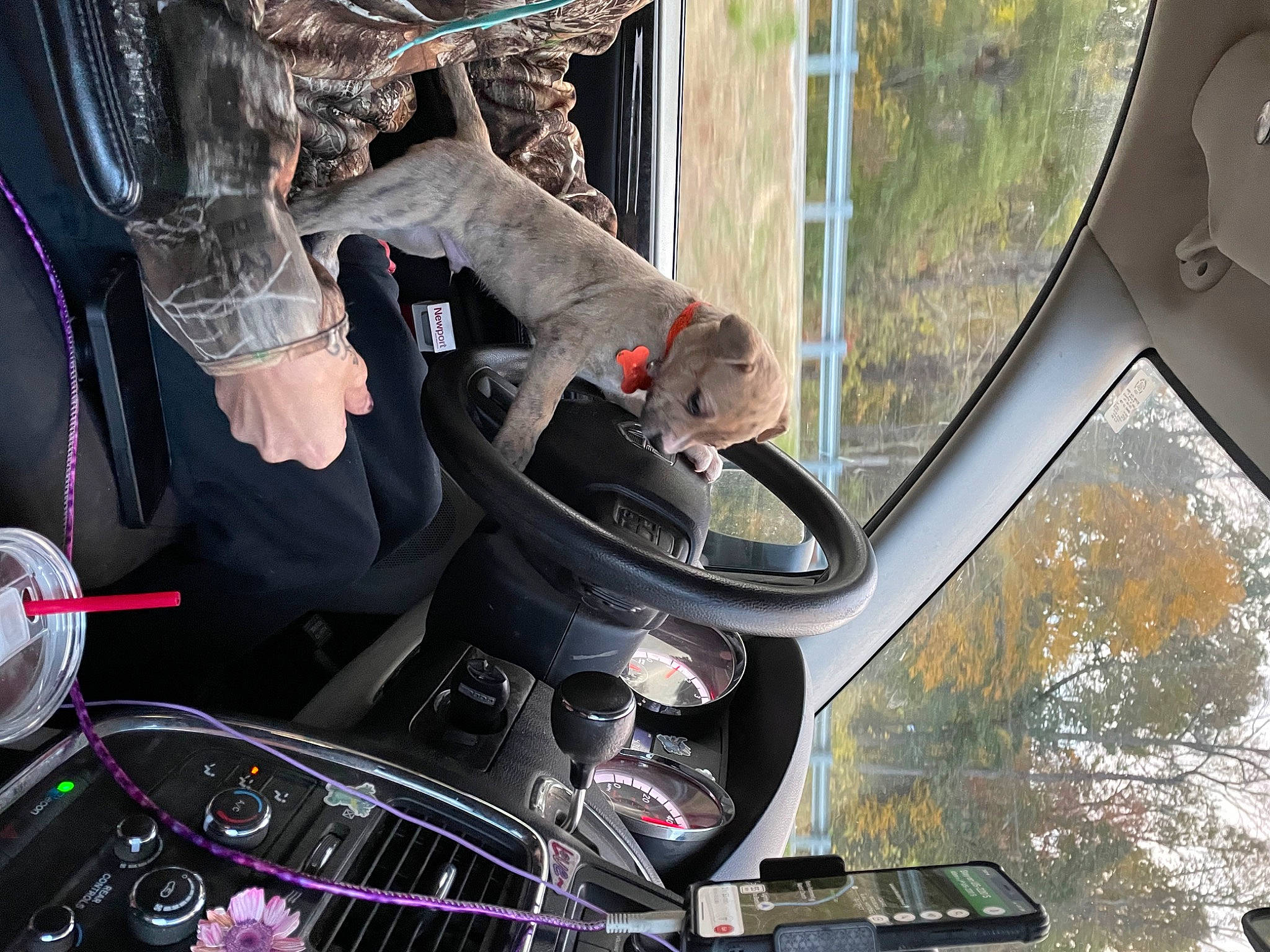 Shiloh joined the competition — help win amazing prizes! auto_part, automotive_design, automotive_exterior, automotive_lighting, automotive_mirror, automotive_tire, automotive_wheel_system, bumper, car, hood, motor_vehicle, rim, steering_part, steering_wheel, tree, vehicle, vehicle_door, wheel, window, windshield