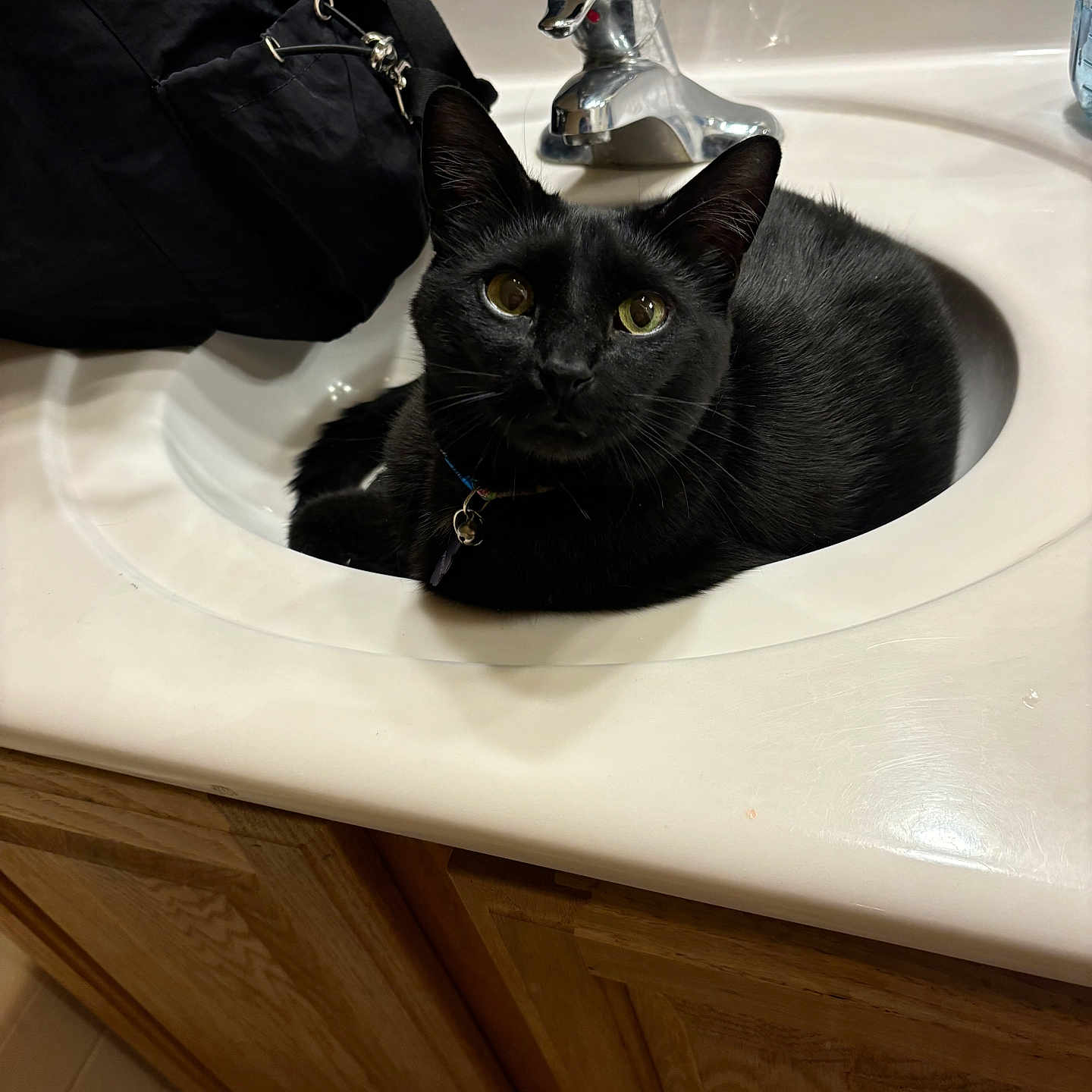 Prince joined the competition — help win amazing prizes! animal, bathroom, black_bag, black_cat, cat, collar, container, curious, domestic_animal, fur, furniture, household, indoor, pet, reflection, resting, sink, tap, whiskers, wooden_cabinet