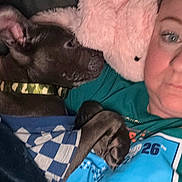 Lucky is registered to the contest to win money with this photo: dog, person, blanket, plush_toy, indoor, snuggle, couch, comfort, relaxation, face, pet, companion, close_up, casual, bedtime, portrait, blue, green, fabric, rest