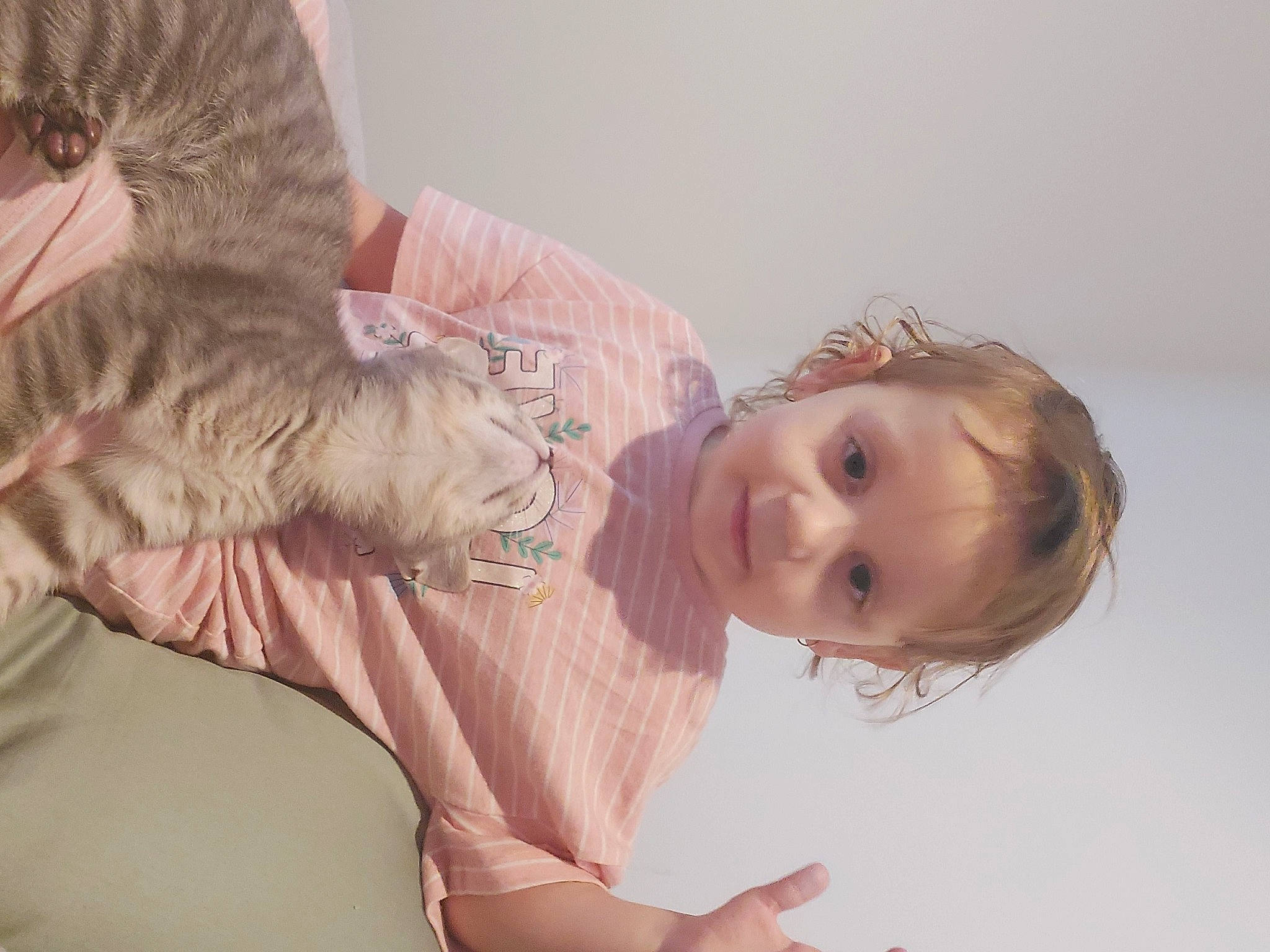 Ava is registered to the contest to win money with this photo: brown_hair, carnivore, cat, child, comfort, dress, ear, eye, felidae, gesture, hair, happy, head, iris, nose, person, skin, sleeve, small_to_medium_sized_cats, toddler