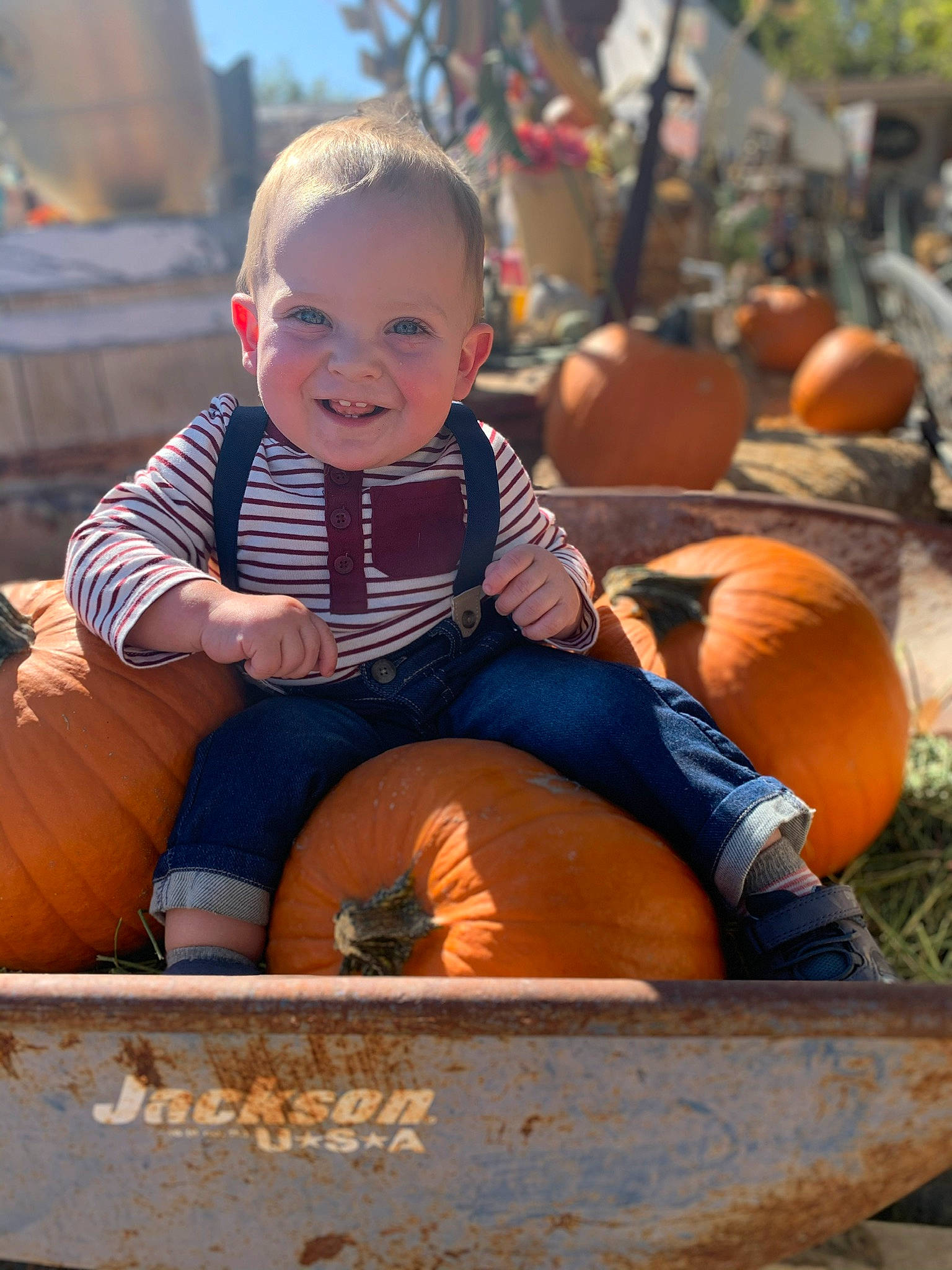 Mason is registered to the contest to win money with this photo: autumn, baby, calabaza, child, cucurbita, gourd, joy, orange, people, person, plant, pumpkin, sitting, smile, squash, toddler, vegetable, winter_squash