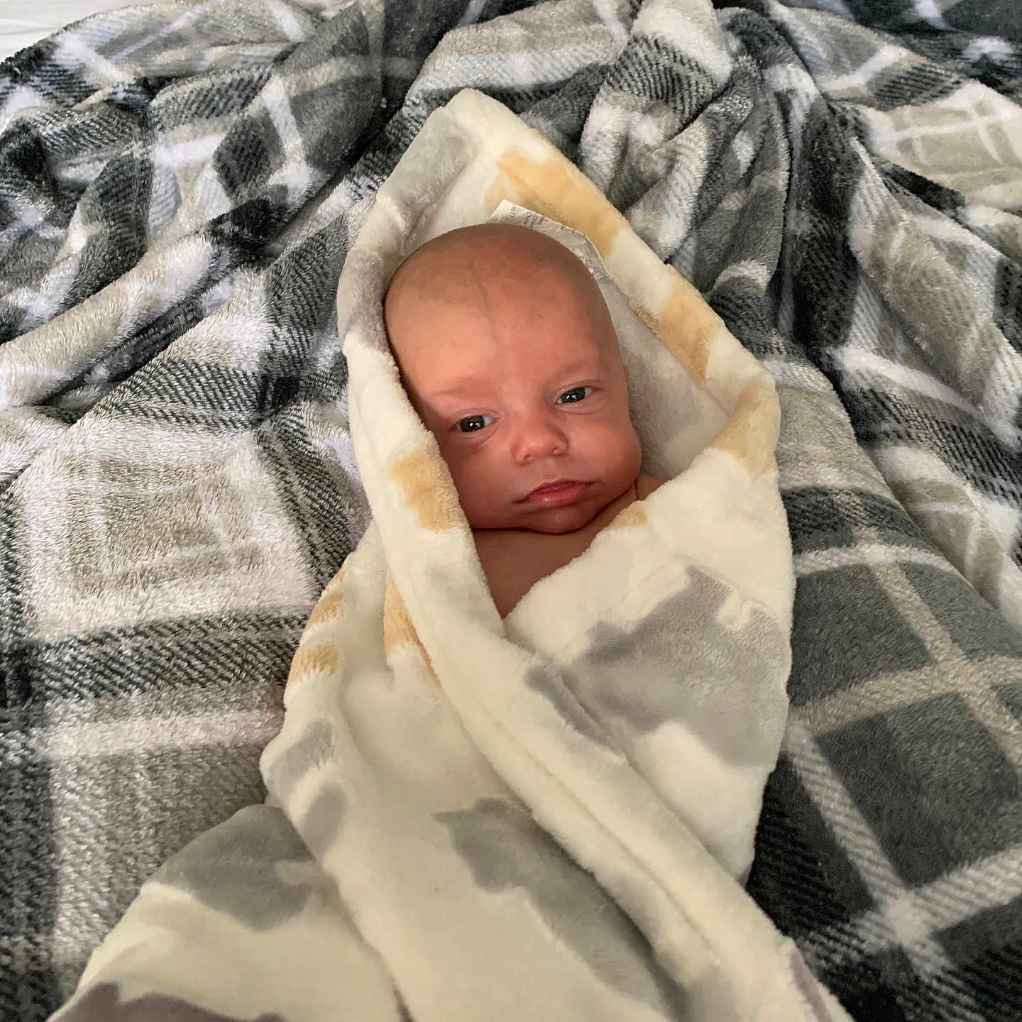 London is registered to the contest to win money with this photo: baby, bed, blanket, face, furniture, head, newborn, person, photography, portrait, quilt, towel