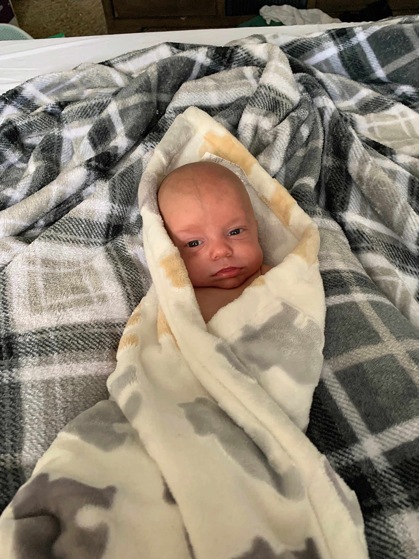 London is registered to the contest to win money with this photo: baby, bed, blanket, face, furniture, head, newborn, person, photography, portrait, quilt, towel