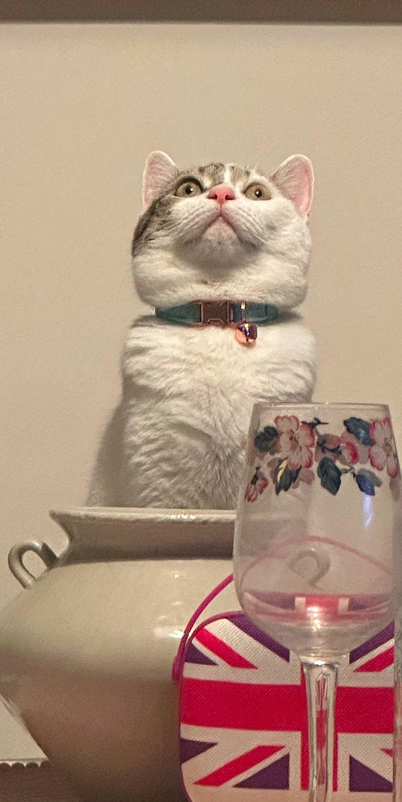 Chelsea is registered to the contest to win money with this photo: art, carnivore, cat, domestic_short_haired_cat, drinkware, fang, felidae, fur, porcelain, sculpture, serveware, small_to_medium_sized_cats, tail, terrestrial_animal, whiskers