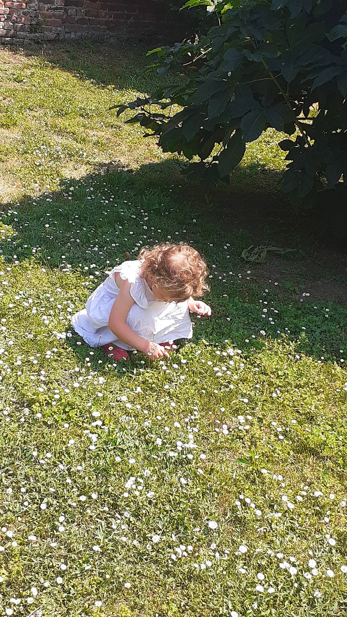 Rose a rejoint le concours — aidez-le/la à gagner de superbes lots ! flooring, flower, flowering_plant, garden, grass, grassland, groundcover, happy, lawn, leisure, meadow, natural_environment, people_in_nature, person, plant, shrub, soil, sunlight, tints_and_shades, tree