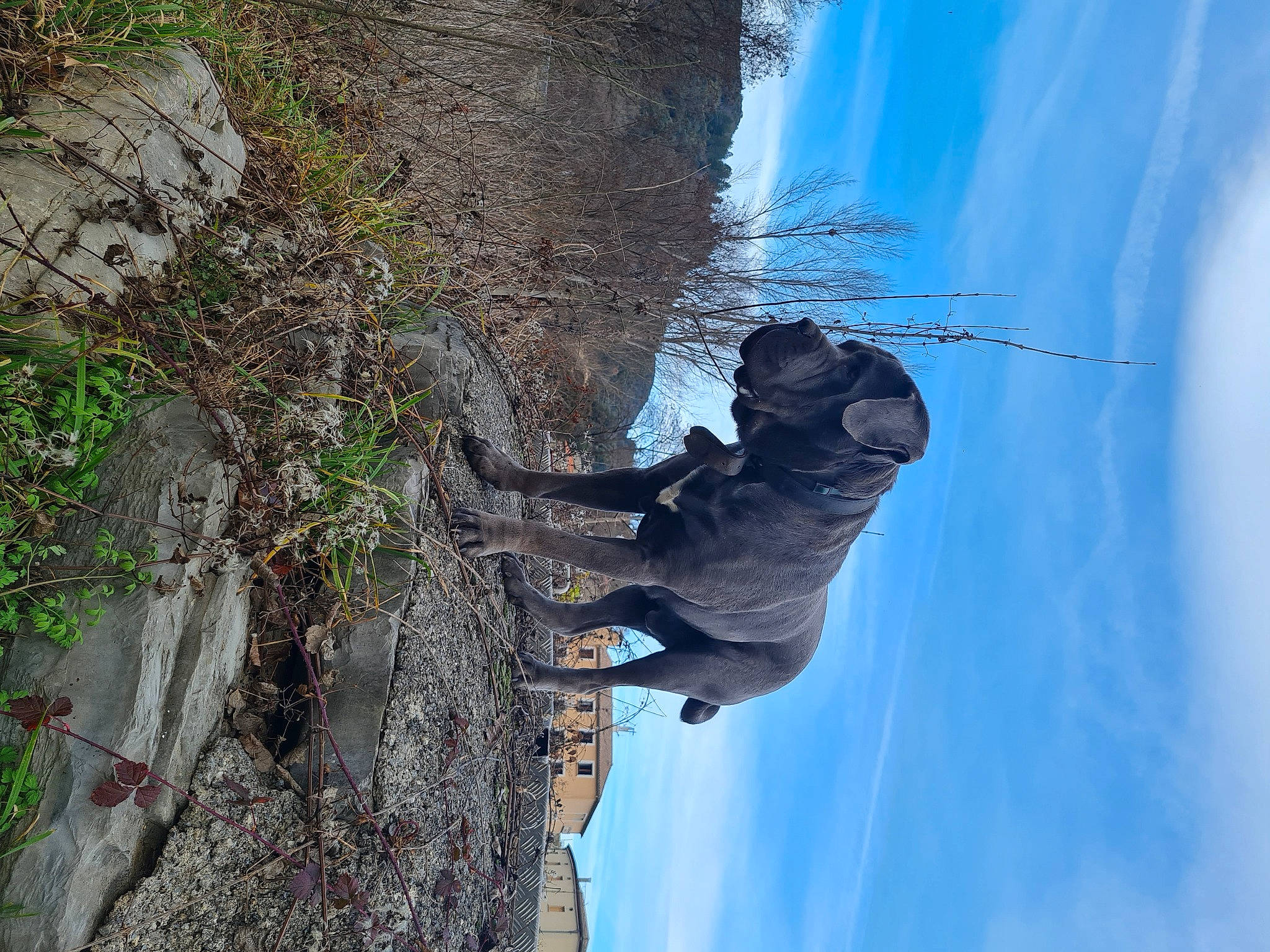 Stig participe au concours pour gagner de l'argent avec cette photo : adventure, art, bedrock, cloud, electric_blue, extreme_sport, leisure, plant, recreation, rock, sculpture, shadow, sky, slope, sport_climbing, statue, tree, trunk, water, wood