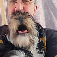 Bullwinkle is registered to the contest to win money with this photo: bald, black_and_white_dog, blur, casual, close_up, dog, expression, fabric_background, facial_hair, fluffy_dog, glasses, holding, indoor, man, mouth_open, person, pet, portrait, seated, tshirt