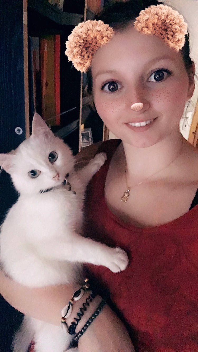 Félix participe au concours pour gagner de l'argent avec cette photo : american_curl, asian, burmilla, carnivore, cat, cheek, ear, eye, eyebrow, face, felidae, fur, head, iris, nose, ojos_azules, skin, small_to_medium_sized_cats, turkish_van, whiskers