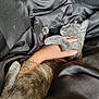 Mama Kitty is registered to the contest to win money with this photo: cat, gray_cat, sleeping, hand, tattoo, blanket, black_blanket, cozy, resting, pet, fur, animal, comfort, close_up, indoor, nap, relaxation, soft_texture, person, skin