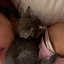 Mama Kitty is registered to the contest to win money with this photo: kitten, gray_cat, sleeping, person, shoulder, pink_clothing, closeup, indoor, bed, resting, fur, pet, cute, cozy, companion, animal, nap, soft, young_cat, human