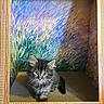 Pierogi Aka Rogi is registered to the contest to win money with this photo: animal, art, background, box, cat, colorful, curious, cute, decor, frame, fur, impressionism, indoor, kitten, painting, pet, portrait, sitting, small, whiskers