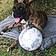 Tayson