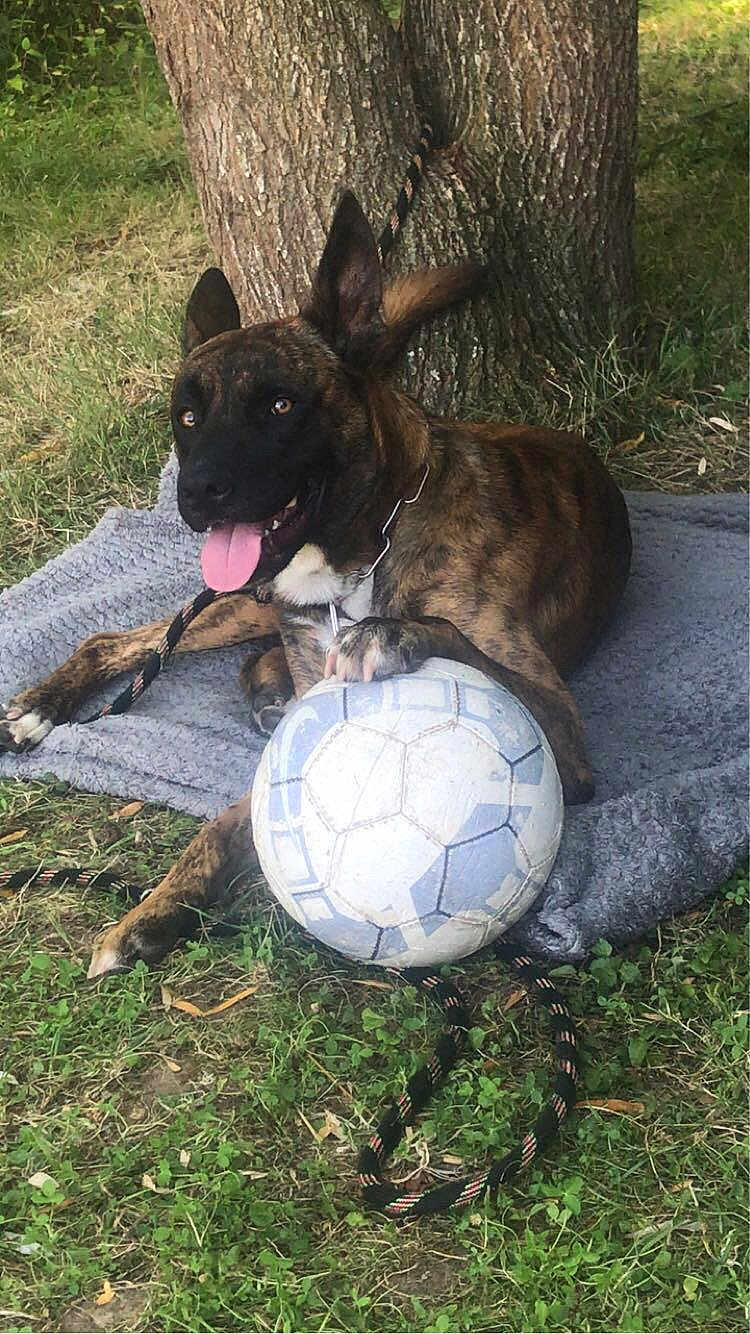 Tayson